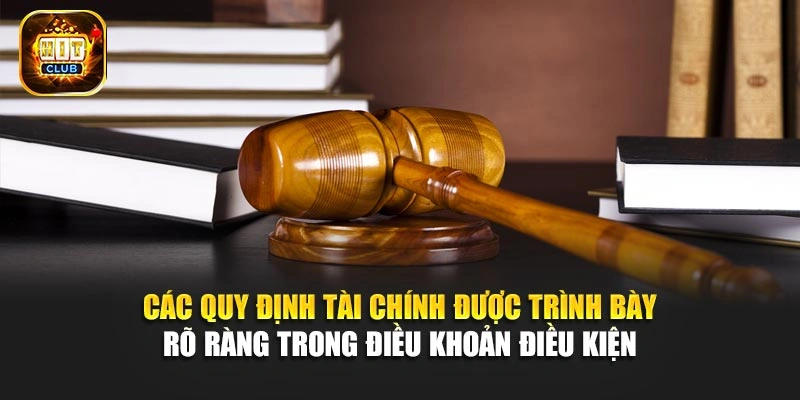 Các quy định tài chính được trình bày rõ ràng trong điều khoản điều kiện